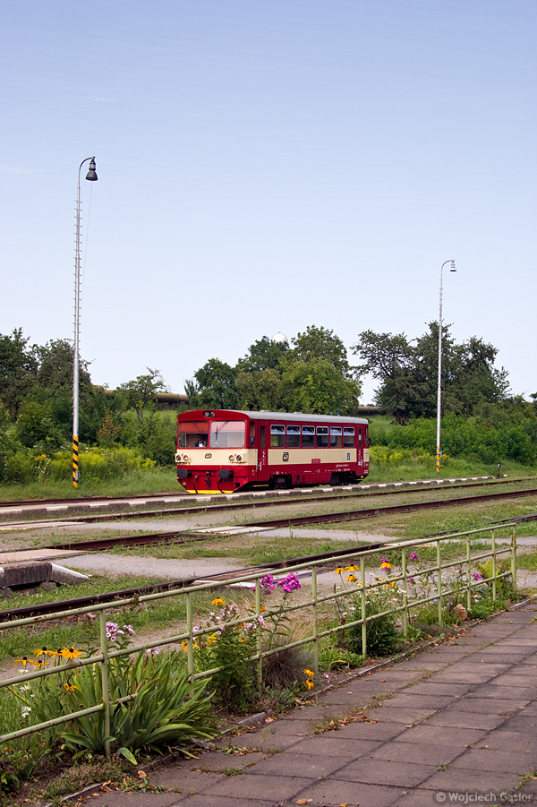IMGP7896.jpg
