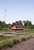 IMGP7896.jpg