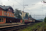 IMGP8065.jpg