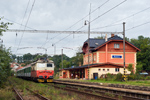 IMGP8081.jpg