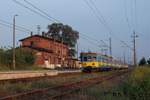 IMGP8204.jpg