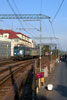 IMGP8510.jpg