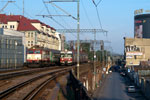 IMGP8525.jpg