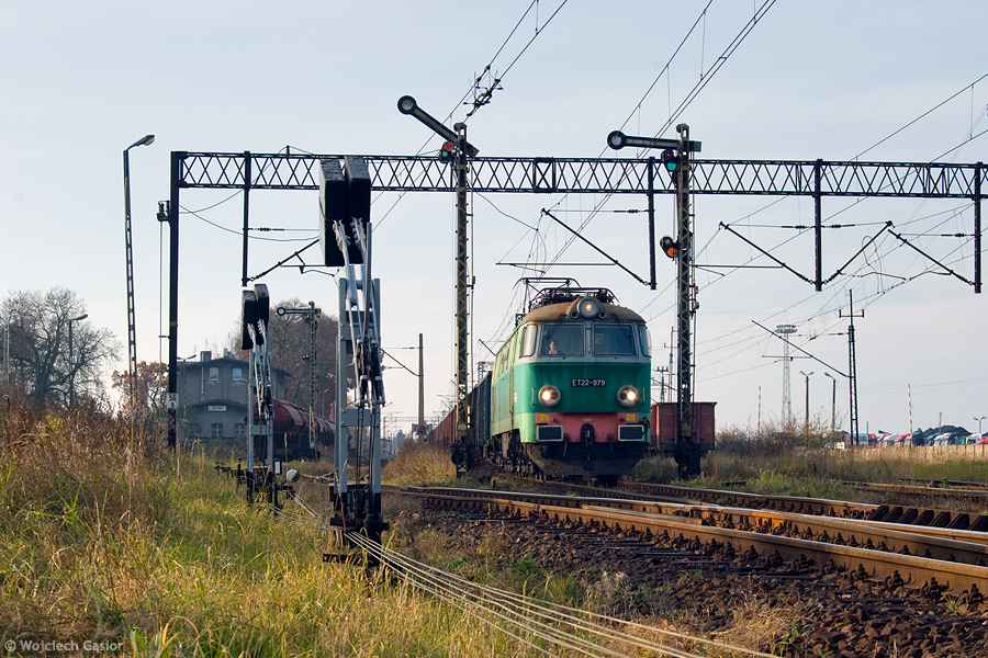 IMGP8661.jpg