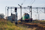 IMGP8661.jpg