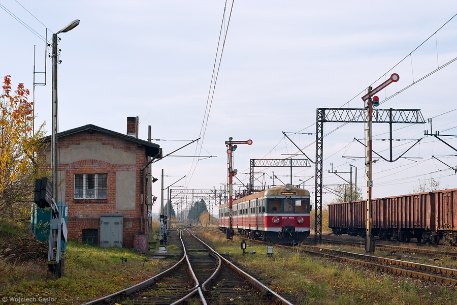 IMGP8669.jpg