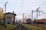 IMGP8669.jpg