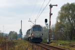 IMGP8690.jpg