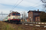 IMGP8696.jpg