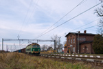 IMGP8700.jpg