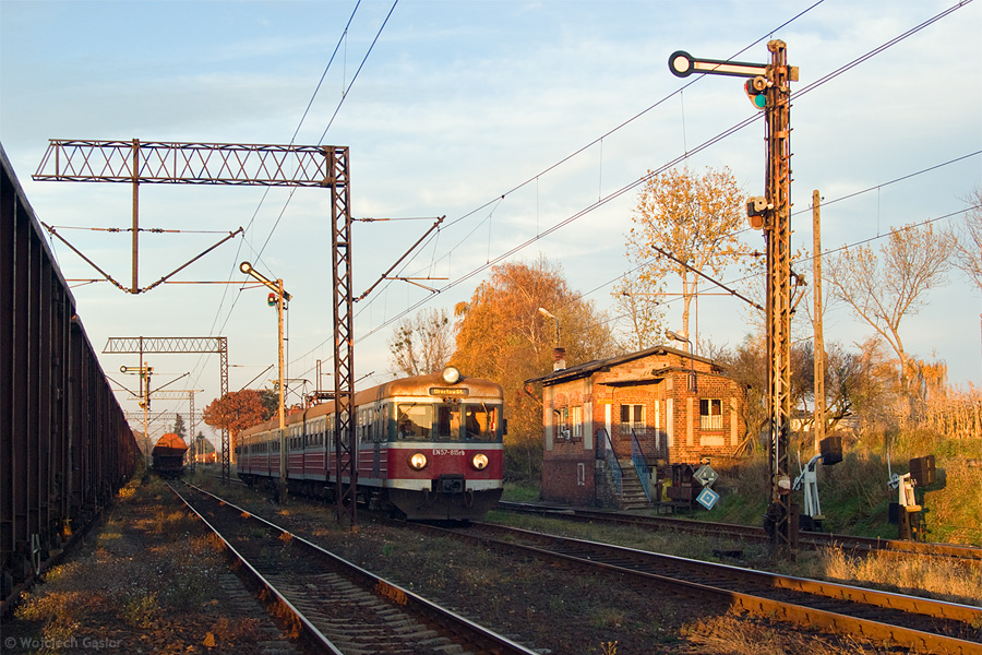 IMGP8743.jpg
