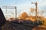 IMGP8743.jpg