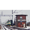 IMGP9040.jpg