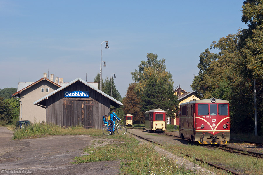 IMGP9915.jpg