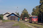 IMGP9915.jpg