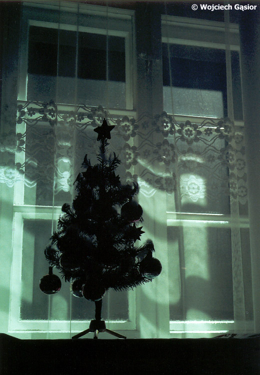 0534-00.jpg