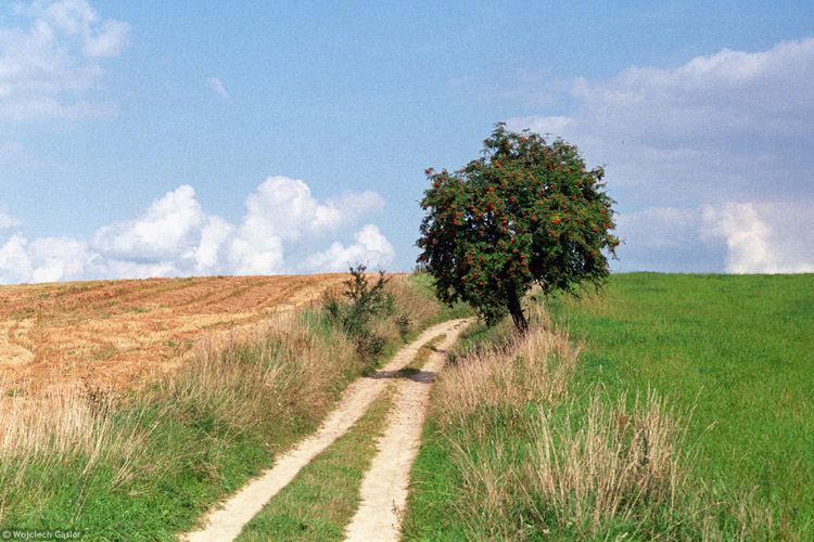 0722-07a.jpg