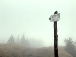 DSCF6781.jpg