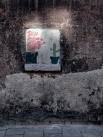 DSCF7704.jpg
