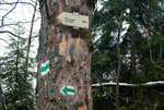 IMGP0367.jpg