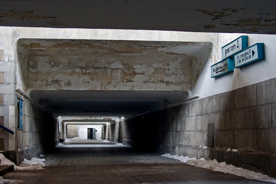 IMGP1696.jpg