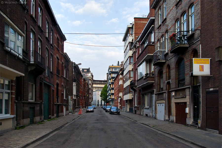 IMGP3293.jpg