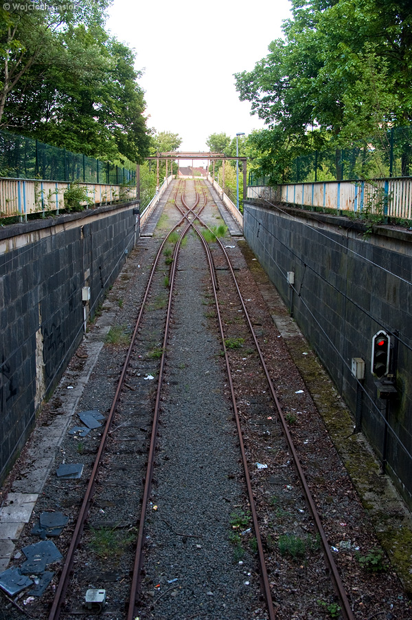 IMGP3308.jpg