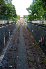 IMGP3308.jpg