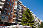 IMGP3489.jpg
