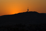 IMGP3575-1.jpg