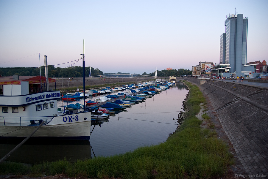 IMGP3674.jpg