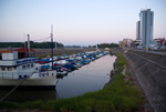 IMGP3674.jpg