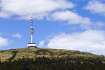 IMGP4130.jpg