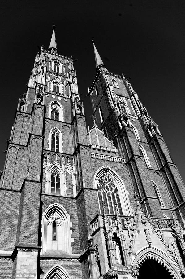IMGP4530.jpg
