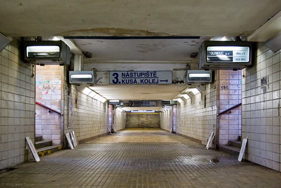 IMGP5847.jpg