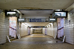 IMGP5847.jpg