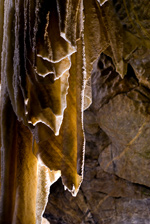 IMGP6160.jpg