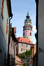 IMGP6220.jpg