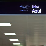 IMGP7377.jpg