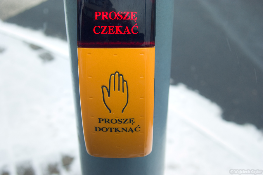 IMGP9399.jpg