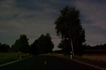 IMGP9469.jpg