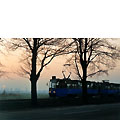 0229-18a.jpg