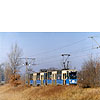 0229-31a.jpg