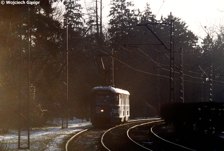 0229-33a.jpg