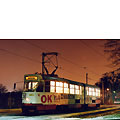 0230-04.jpg