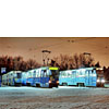 0231-29a.jpg