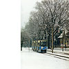 0231-31.jpg