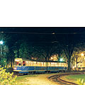 0311-10.jpg