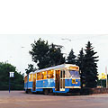 0316-15.jpg