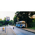 0316-20.jpg